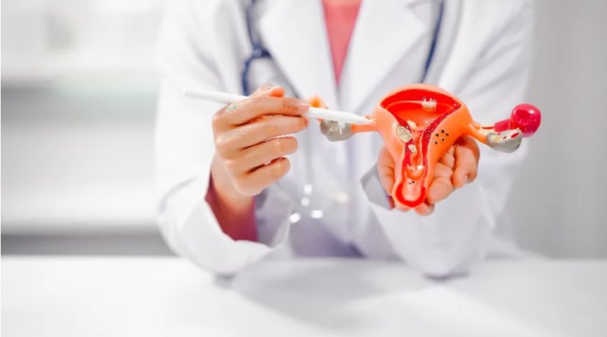 Her 10 Kadından 1’i Endometriozis ile Yaşıyor: Doğru Tedavi Kısırlığı Önleyebilir
